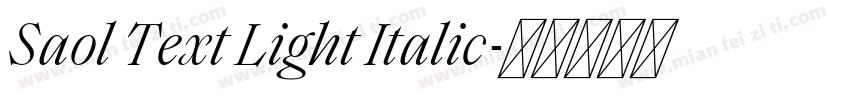 Saol Text Light Italic字体转换